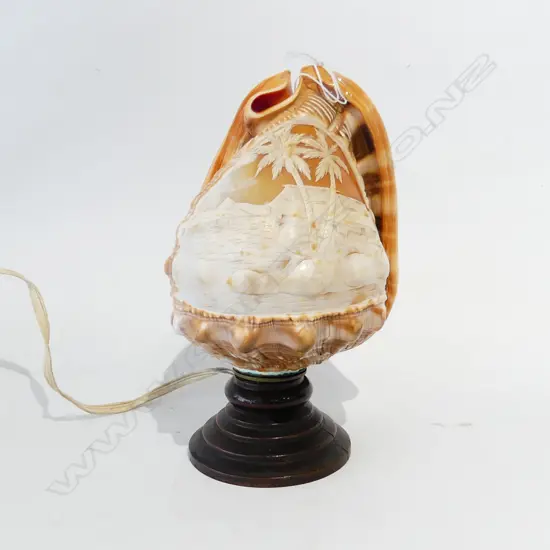 CAMEO SHELL LAMP H.200mm