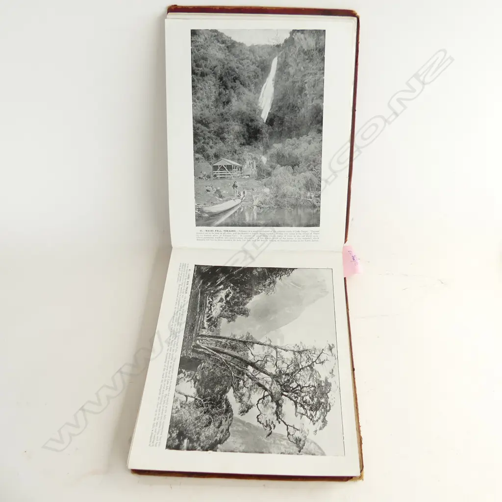 1 VOL OF GLIMPSES OF NEW ZEALAND Image 1++