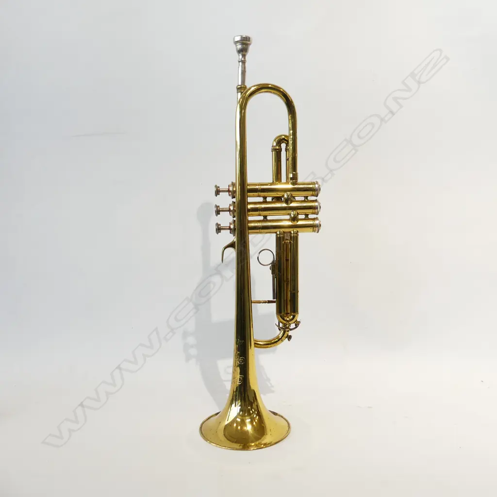 CASED TRUMPET 'MELODY MAKER' W.510mm Image 1++