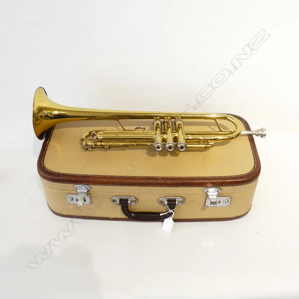 CASED TRUMPET 'MELODY MAKER' W.510mm Image 1++