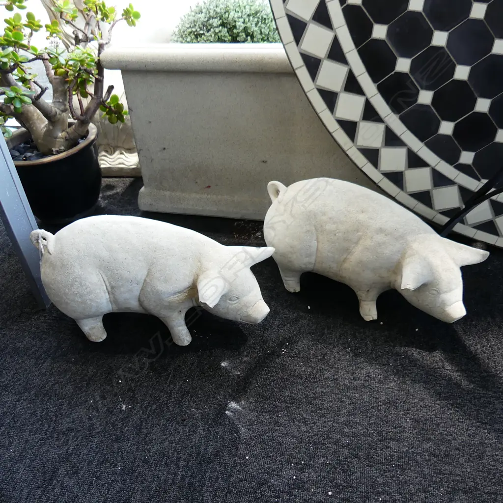 PR CONCRETE PIGS (small losses to ears) L.420mm Image 1++
