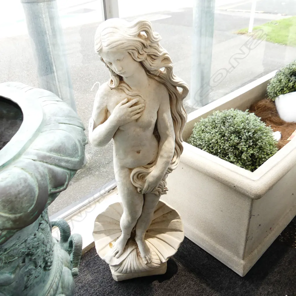 CONCRETE VENUS ON SHELL H.850mm Image 1++