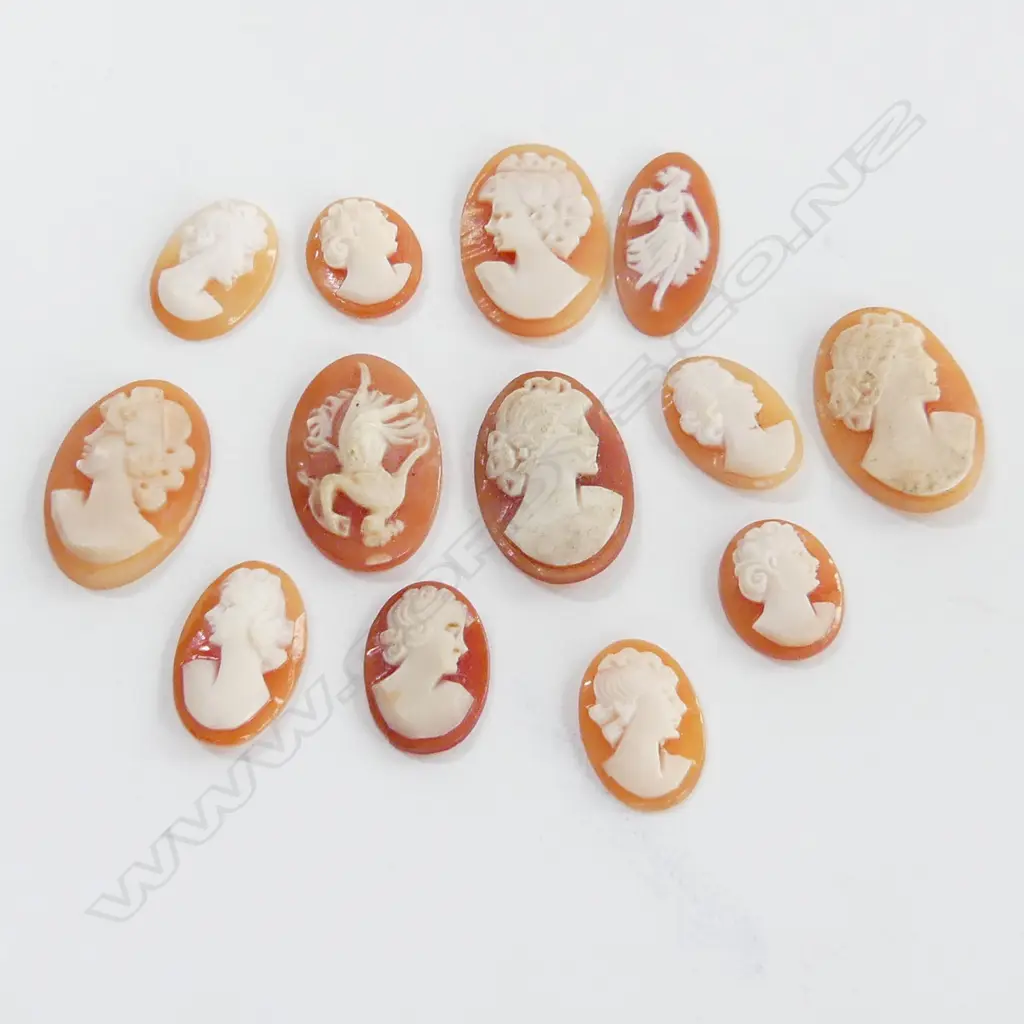 BOX VINTAGE CARVED SHELL CAMEOS  Image 1++