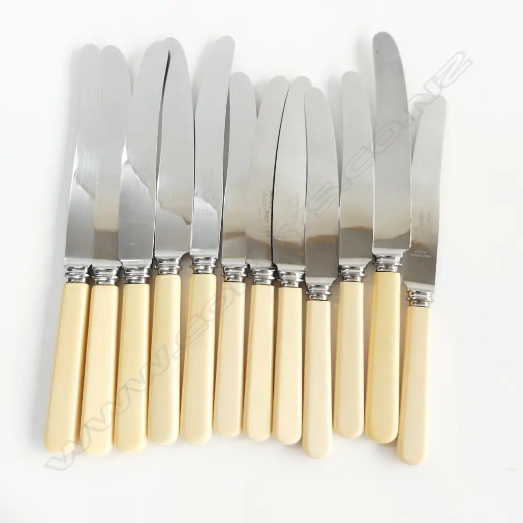 SET OF 12 IVORINE 'BONE' HANDLED KNIVES; 6x230mm 6x205mm Image 1++