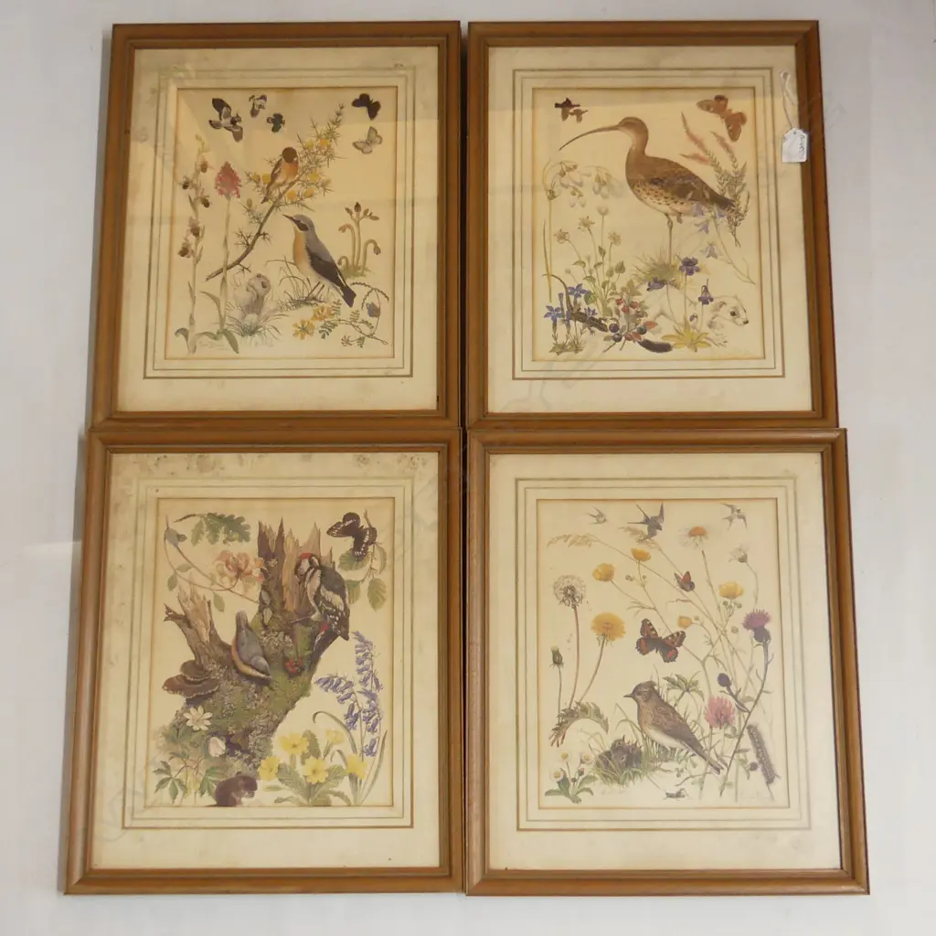 SET 4 COLOUR ORTHANILOGICAL & BOTANICAL PRINTS BY MARJORIE BLAMEY after Tom Wedgwood(1771-1805) 430x360mm Image 1++