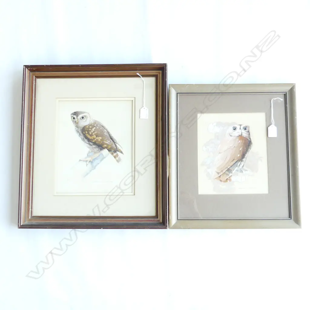 2 R. M. JACKSON ORIGINAL OWL ARTWORKS; SCREECH OWL 1975 240x200mm & LITTLE OWL 1974 280x230mm Image 1++
