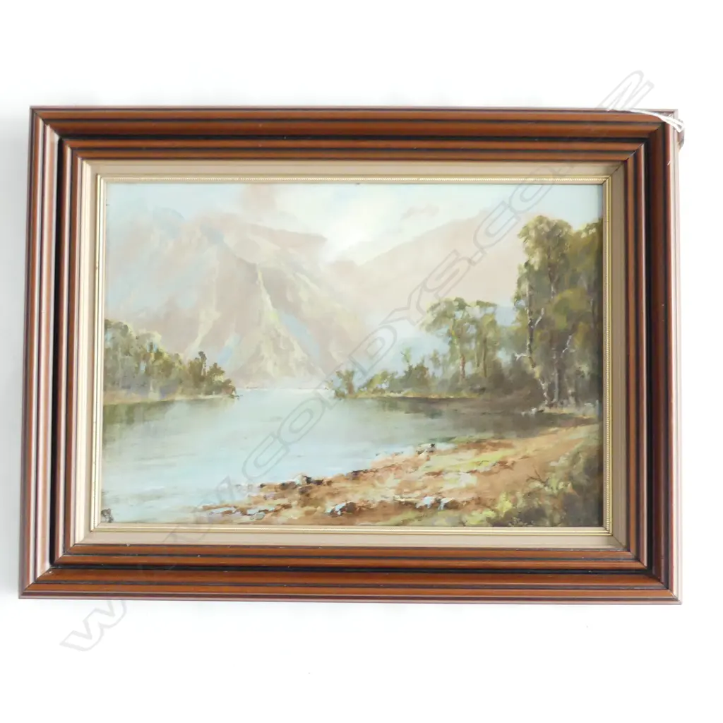F O BIANCHI OIL 'LAKE WAKITIPU' 275 X 400mm Image 1++