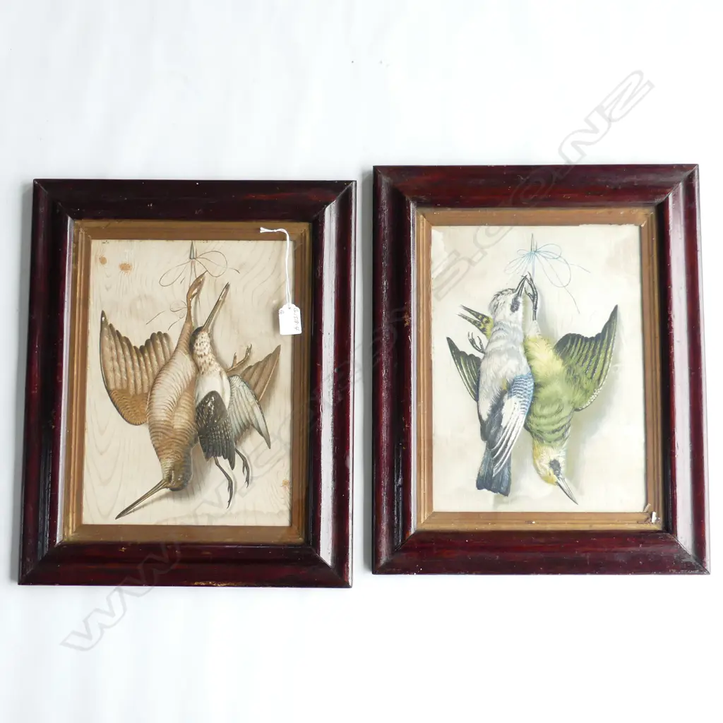 PR VICTORIAN CHROMOLITHOGRAPH PRINTS HANGING GAME BIRDS prints in part relief. some faults 470 x 380mm Image 1++