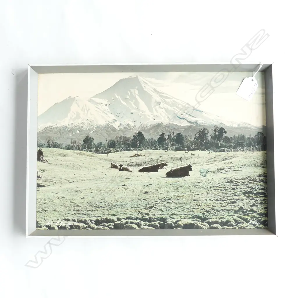 WHITES AVIATION H/COLOURED PHOTO MT.TARANAKI 245 x 355mm Labelled on reverse Image 1++