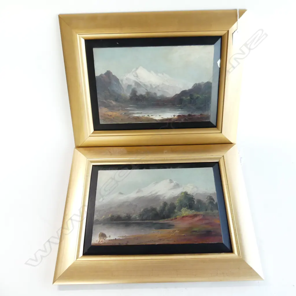 T. R. ATTWOOD PR COLONIAL LANDSCAPE OIL ON BOARDS - CLINTON RIVER & LAKE KANIERE 200x300mm FAULTS Image 1++