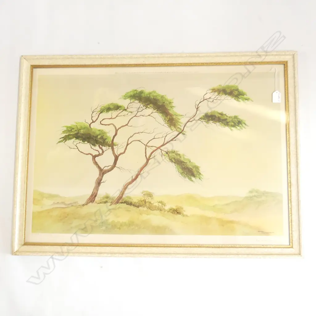 JAN KAGIE RETRO PRINT ' PINES ON THE DUNES' 545 X 790mm Image 1++