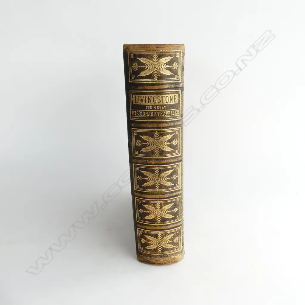 LEATHER BOUND COPY 'THE LIFE & EXPLORATIONS OF DR LIVINGSTONE THE GREAT MISSIONARY TRAVELLER' C1870 ... Image 1++