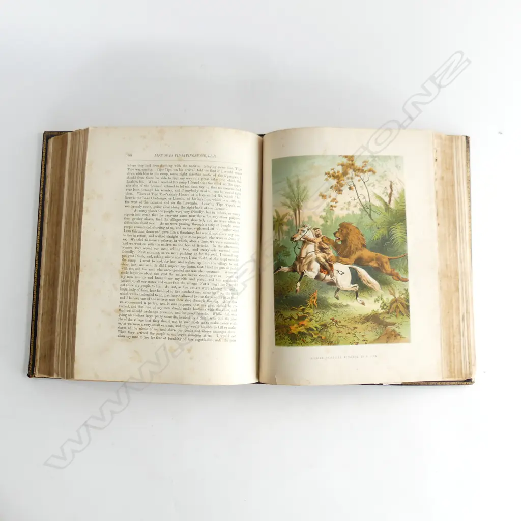LEATHER BOUND COPY 'THE LIFE & EXPLORATIONS OF DR LIVINGSTONE THE GREAT MISSIONARY TRAVELLER' C1870 ... Image 1++