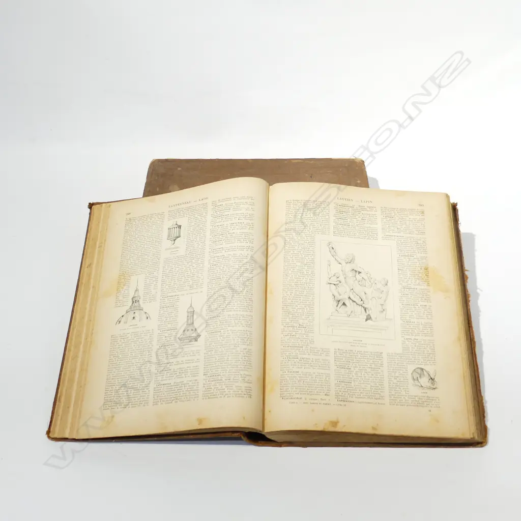 2 ANTIQUE FRENCH DICTIONARIES - 1905 H.320mm Image 1++
