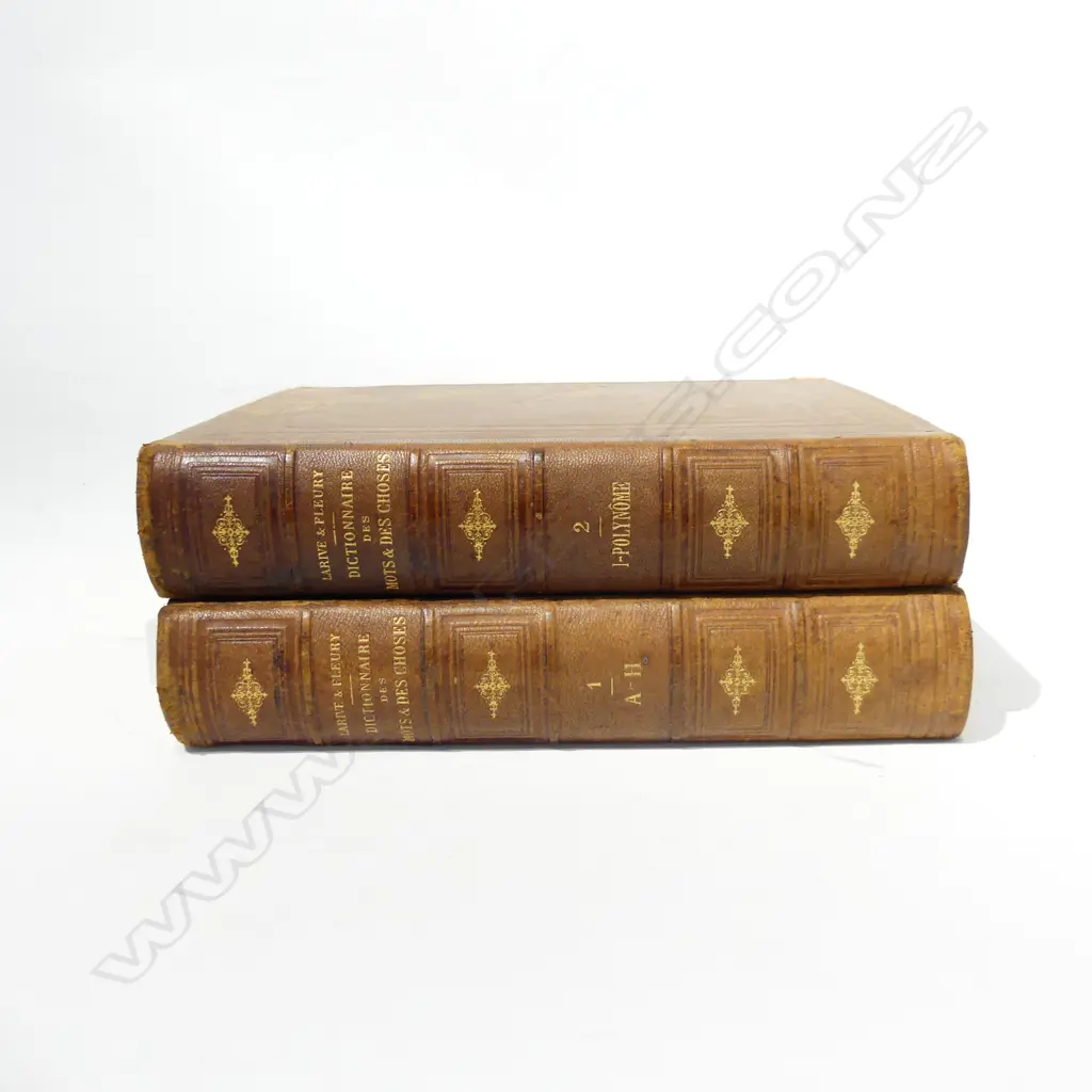 2 ANTIQUE FRENCH DICTIONARIES - 1905 H.320mm Image 1++