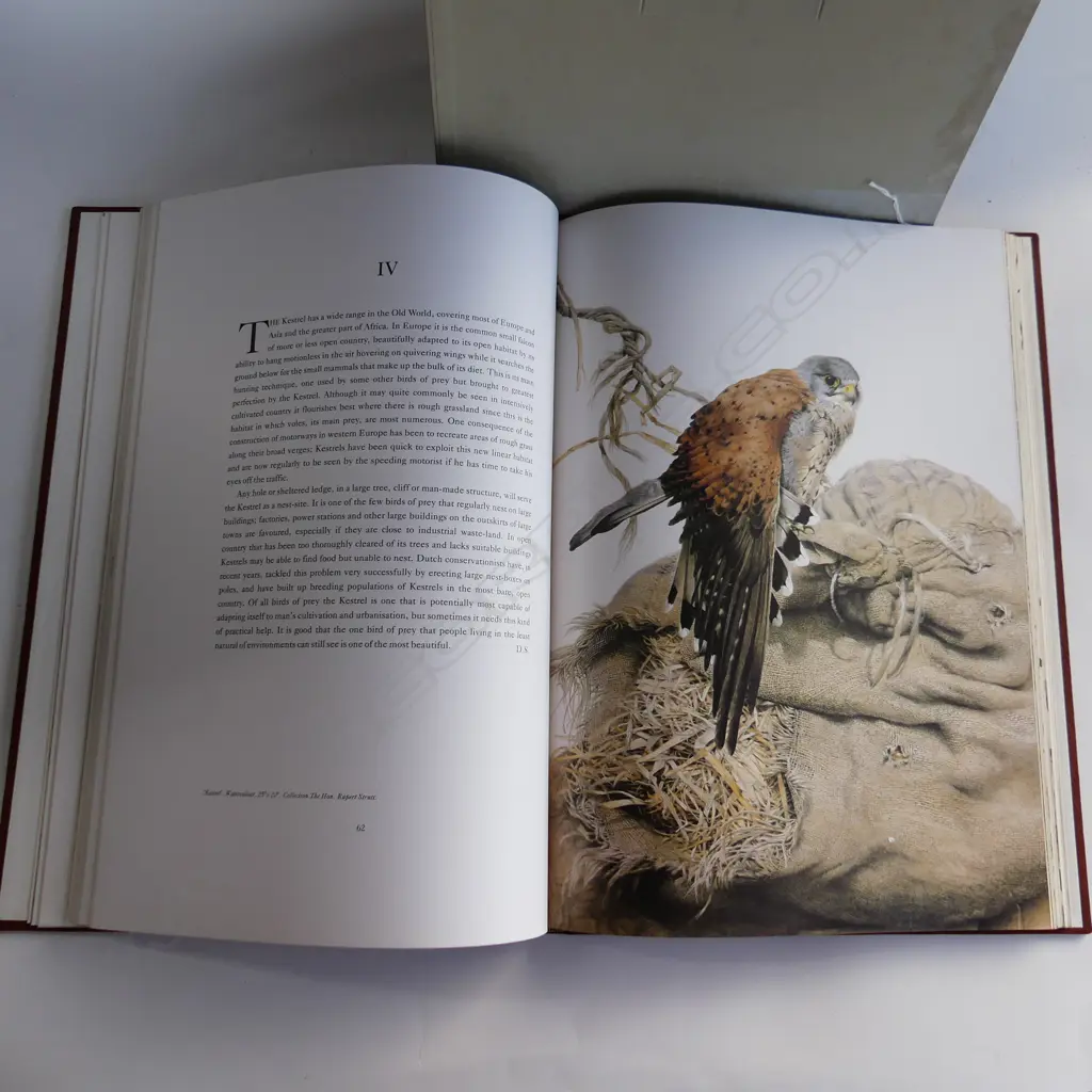 LG CASED ART BOOK; RAYMOND CHING; THE BIRD PAINTINGS - COLLINS, 1975 39/360 480x330mm Image 1++