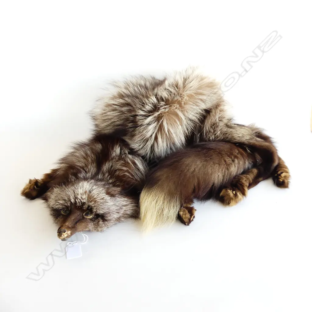 QUALITY FOX FUR STOLE WITH HEAD AND FEET & TAIL Image 1++