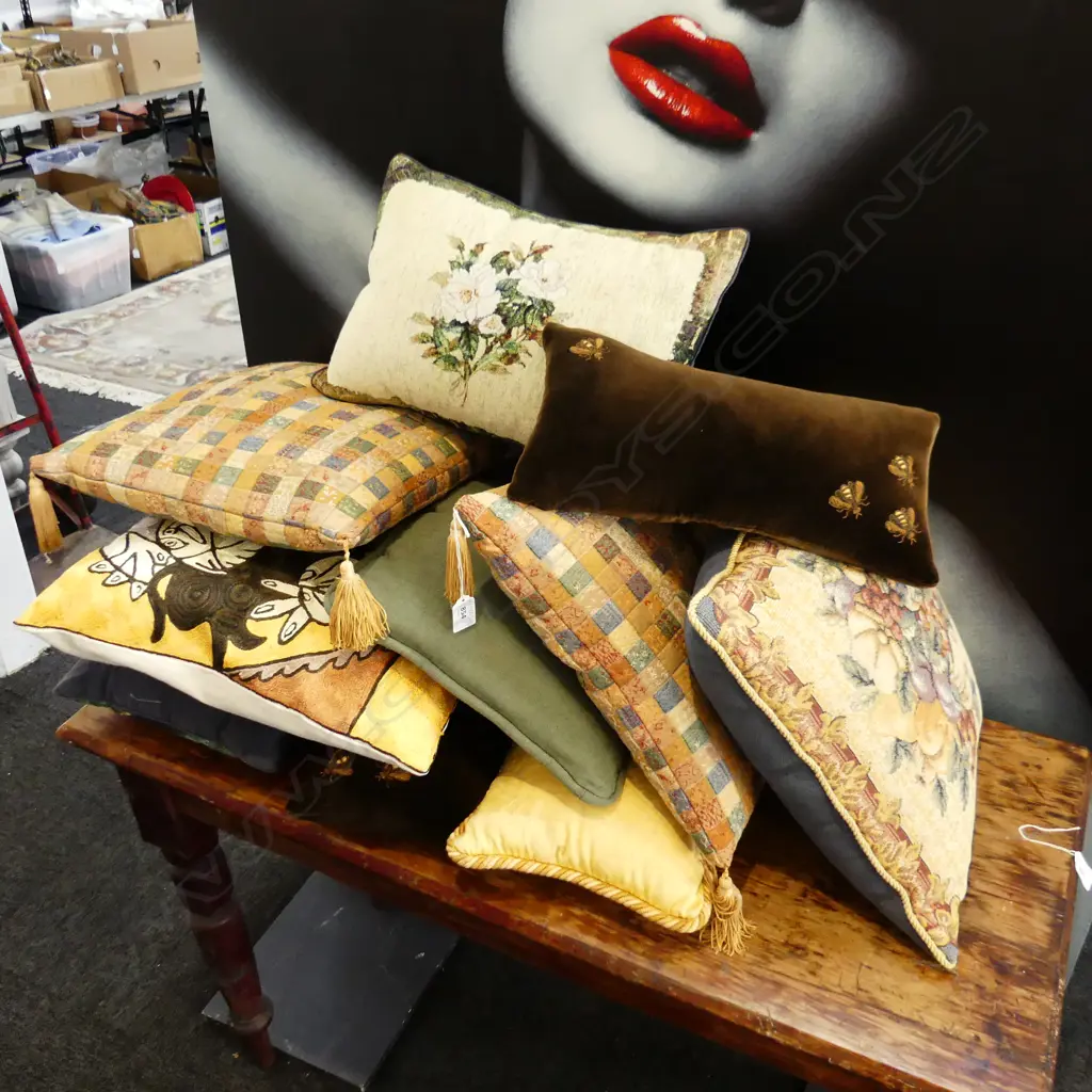 10 ASST. CUSHIONS Image 1++