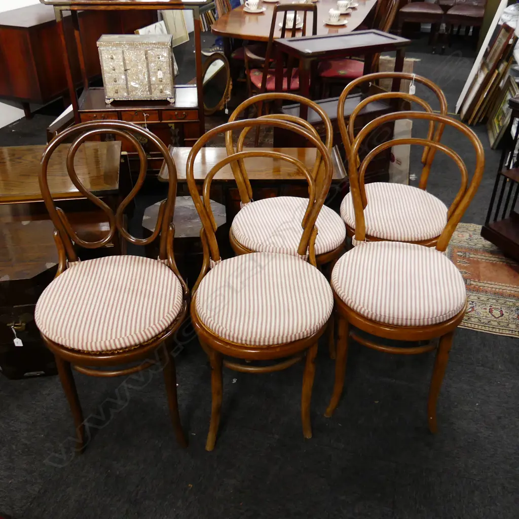 SET 5 (4 + 1) HOOP BACK BENTWOOD CHAIRS cane seats w cushions Image 1++