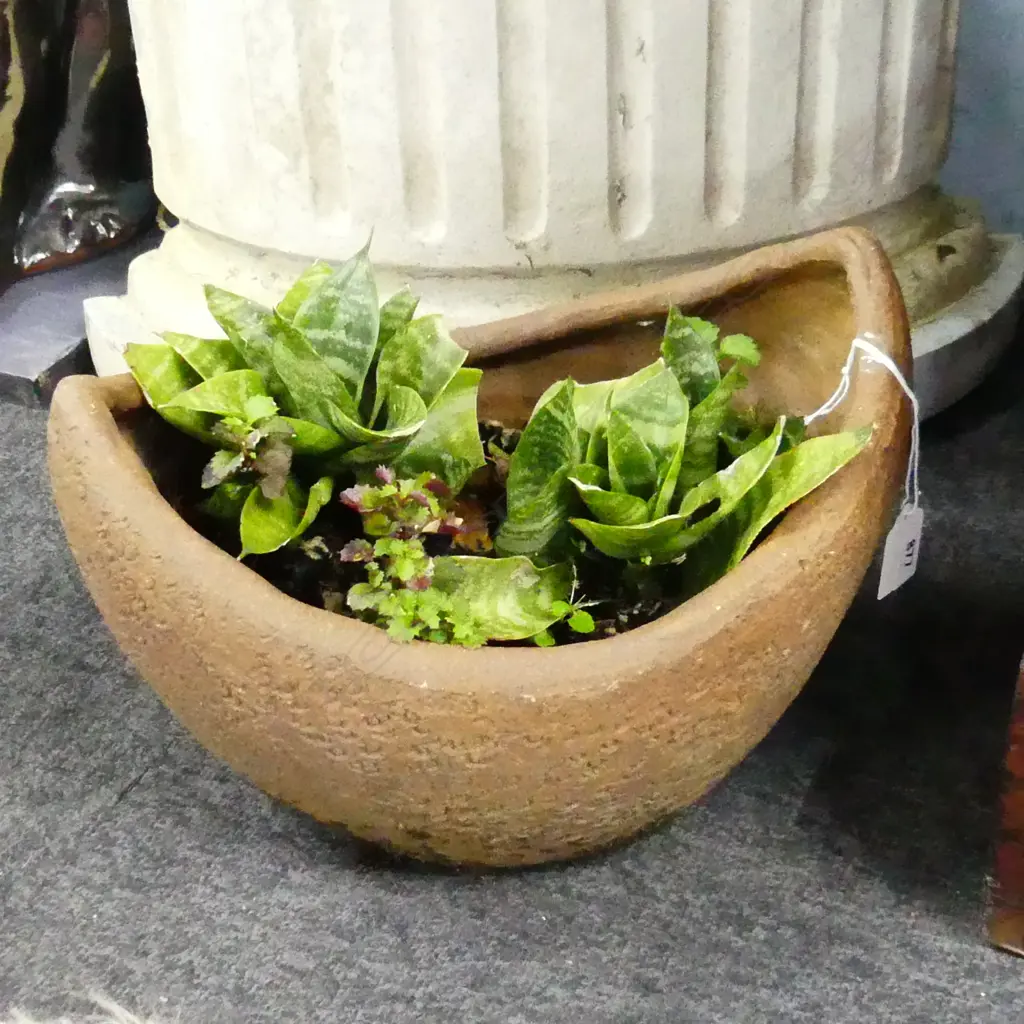 TERRACOTTA PLANTER SMALL BOAT FORM W PLANTS Image 1++