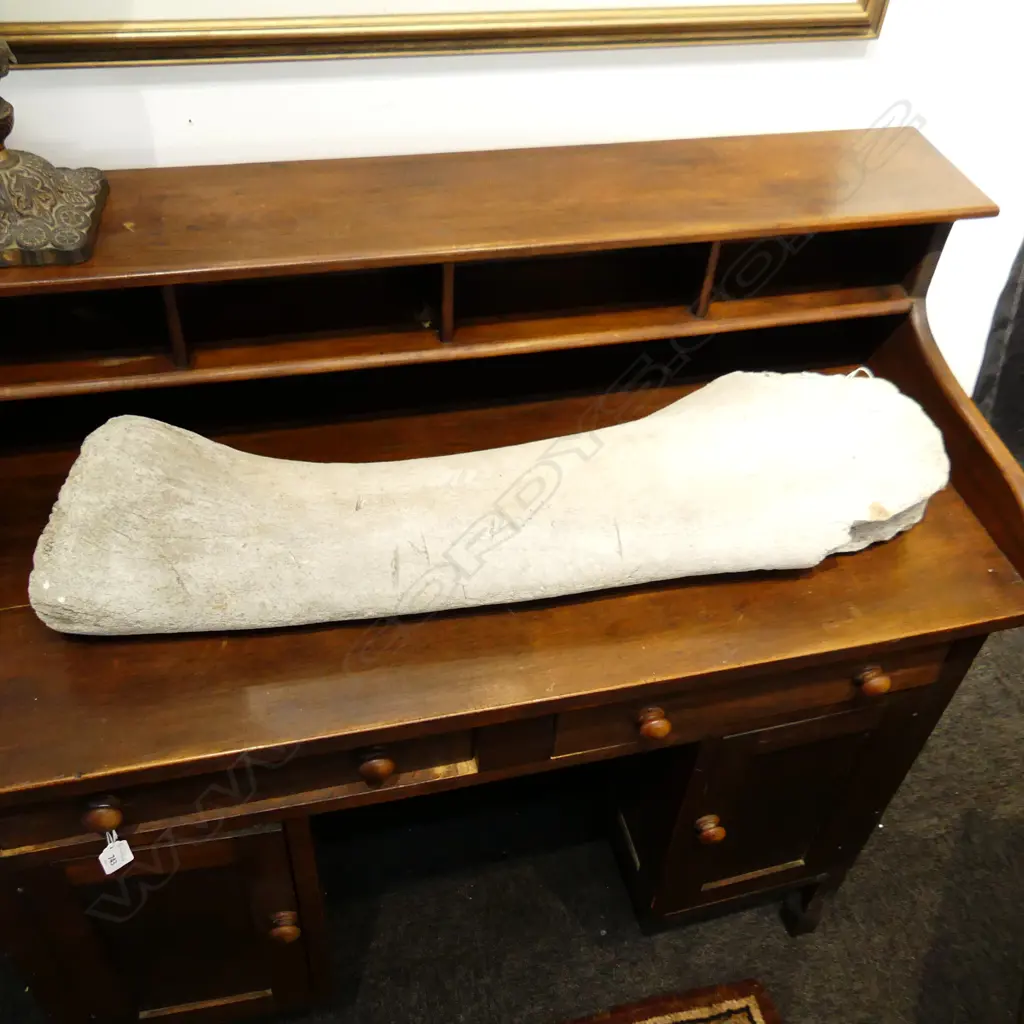 LARGE POSSIBLY ELEPHANT LEG BONE L750MM Image 1++