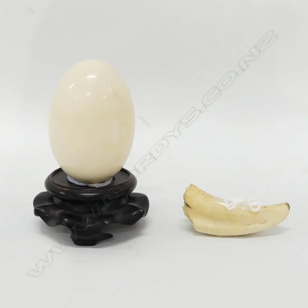 IVORY EGG ON WOODEN STAND, WHALES TOOTH & BAG 12 IVORY STICKS  Image 1++