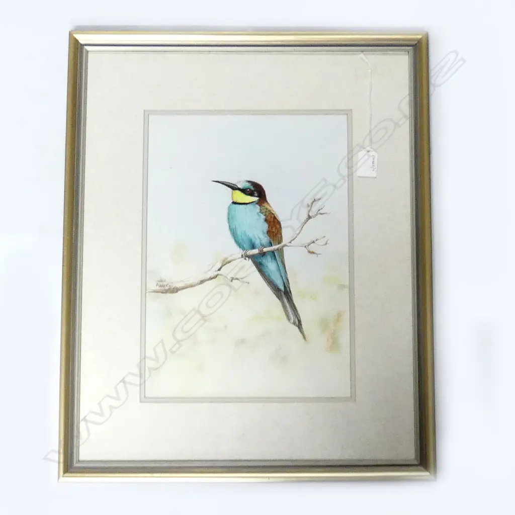 JILL ADAMS WATERCOLOUR SIGNED 340 X 240 MM Image 1++