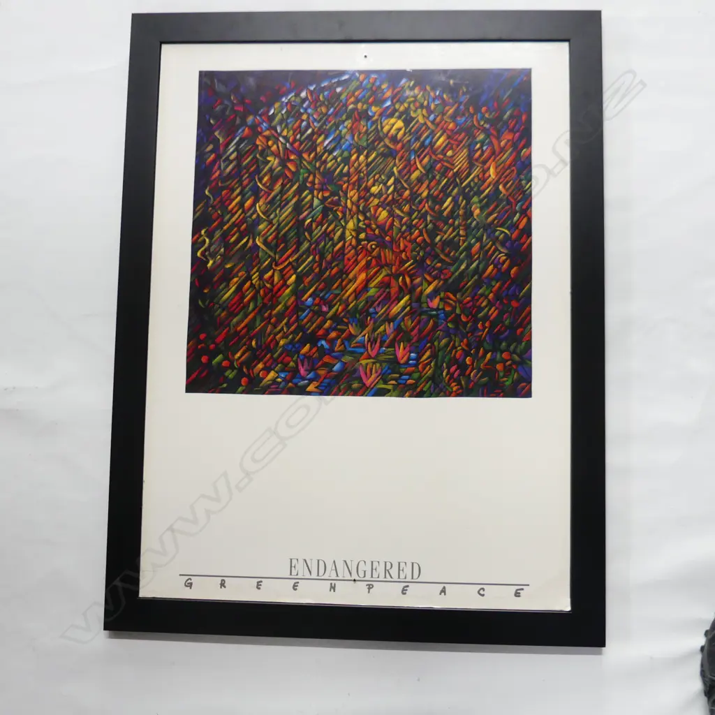 DEAN BUCHANNAN FRAMED ENDANGERED GREENPEACE POSTER 810 X 580 MM SOME DAMAGE Image 1++