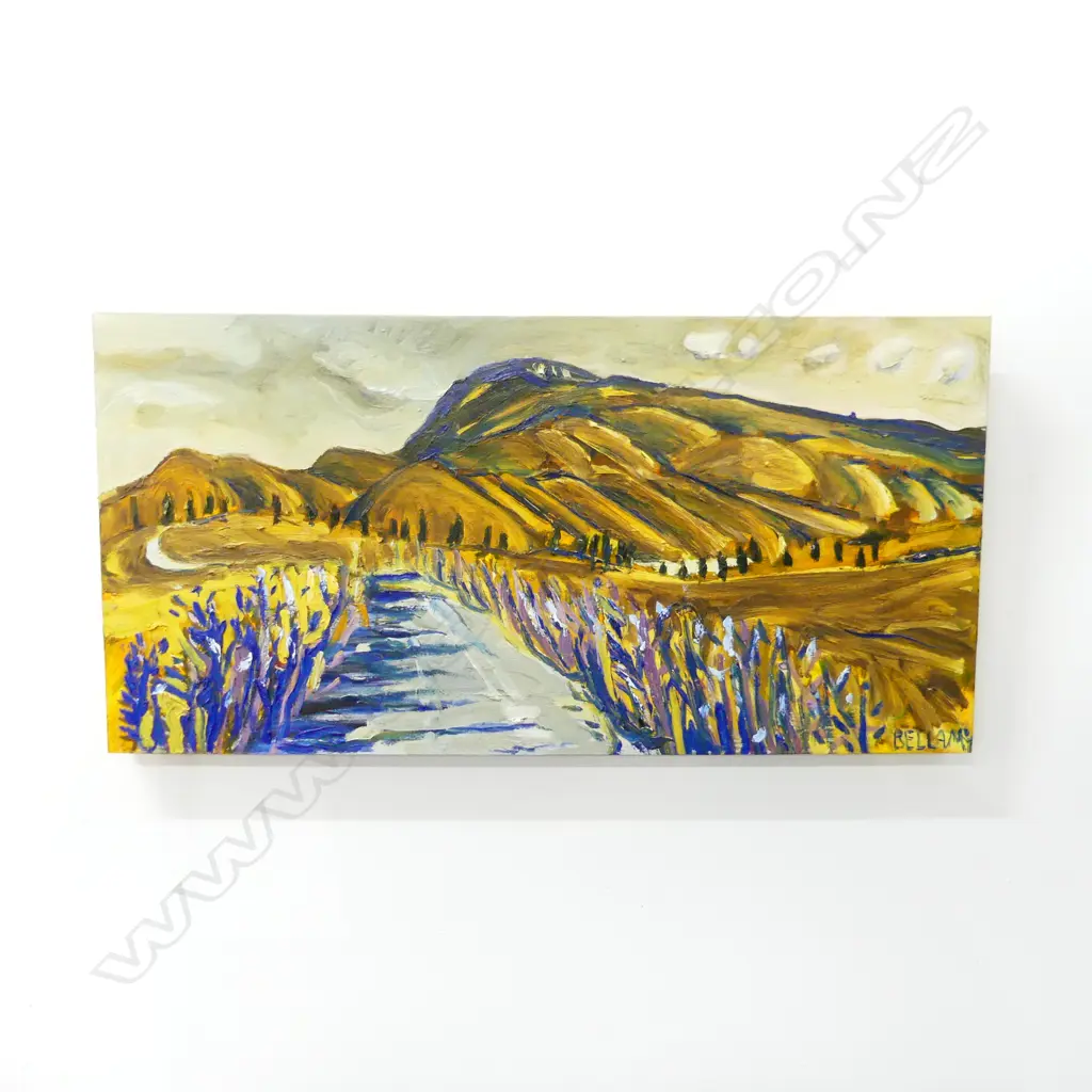 PAULINE BELLAMY OIL ON BOARD 'ROAD TO ST.BATHANS' 430 X 860mm Image 1++