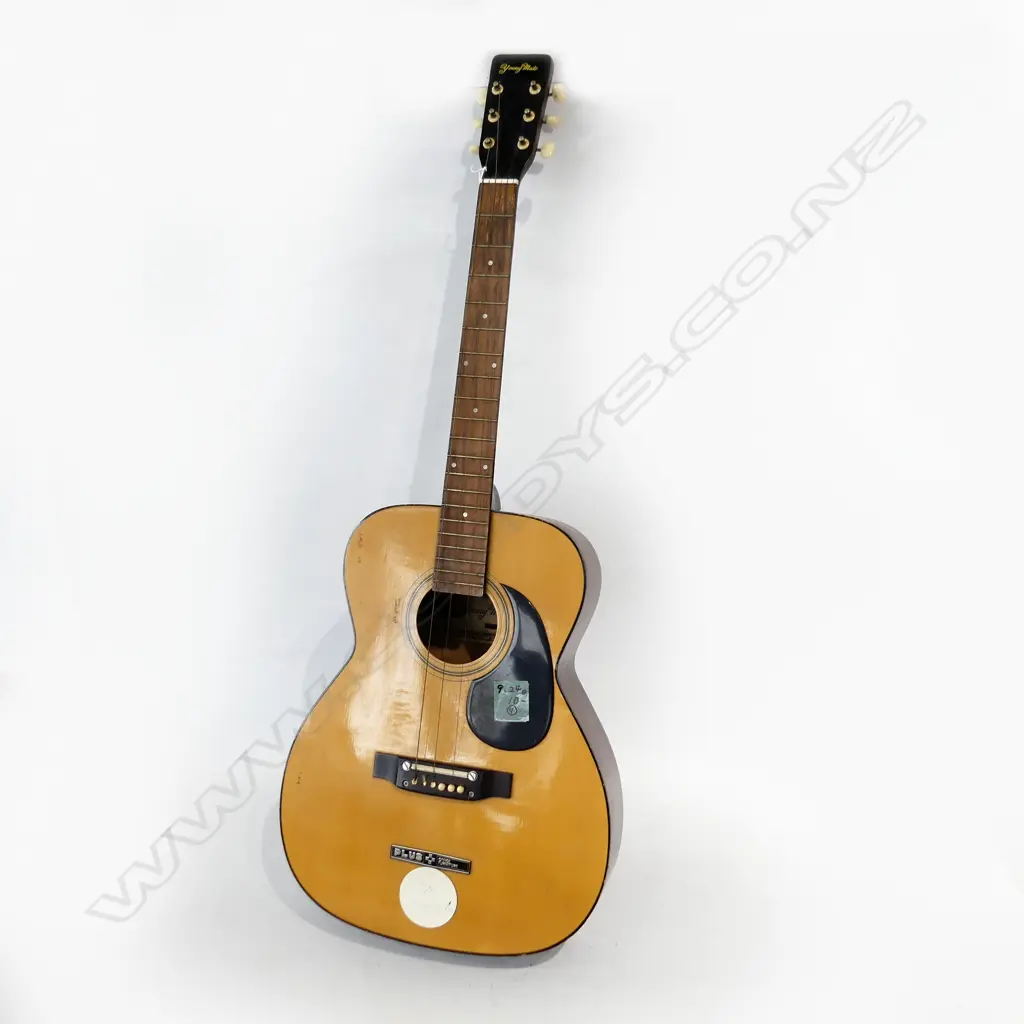 VINTAGE JAPANESE 'YOUNG MATE' ACOUSTIC GUITAR Image 1++
