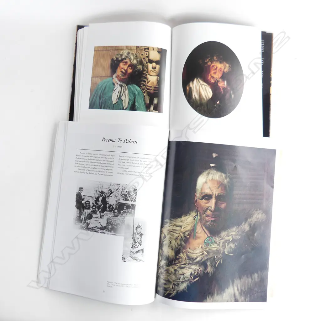 GOLDIE BY ROGER BLACKLEY PUBLISHED BY AUCKLAND CITY ART GALLERY signed by author& GOLDIE BOOK OF PRINTS by Taylor Image 1++