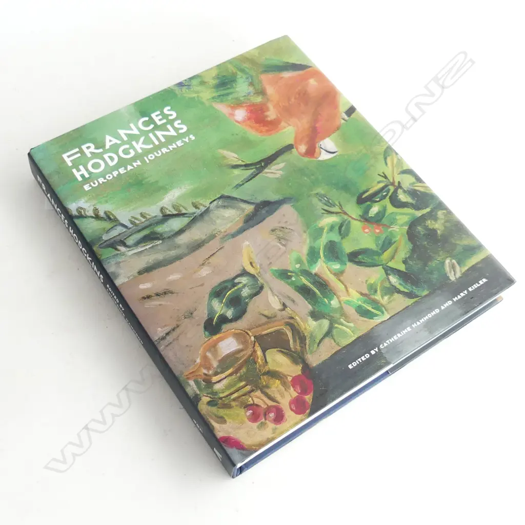FRANCES HODGKINS BOOK 'EUROPEAN JOURNEYS' by Hammond & Kisler Image 1++