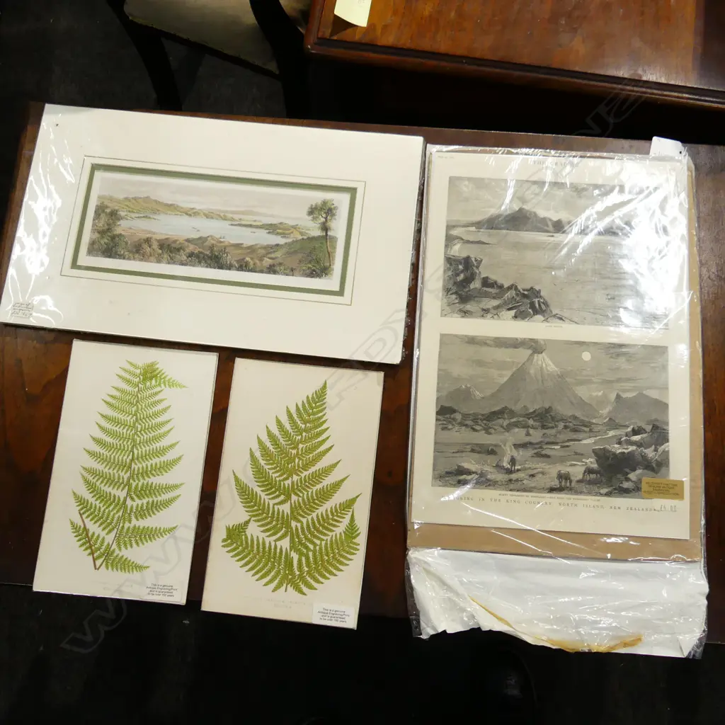 4 EARLY ENGRAVINGS; 2 FERNS + COROMANDEL HARBOUR 1847 105x270mm, 'THE GRAPHIC' LAKE TAUPO & MT. TONGARIRO 1884 Image 1++