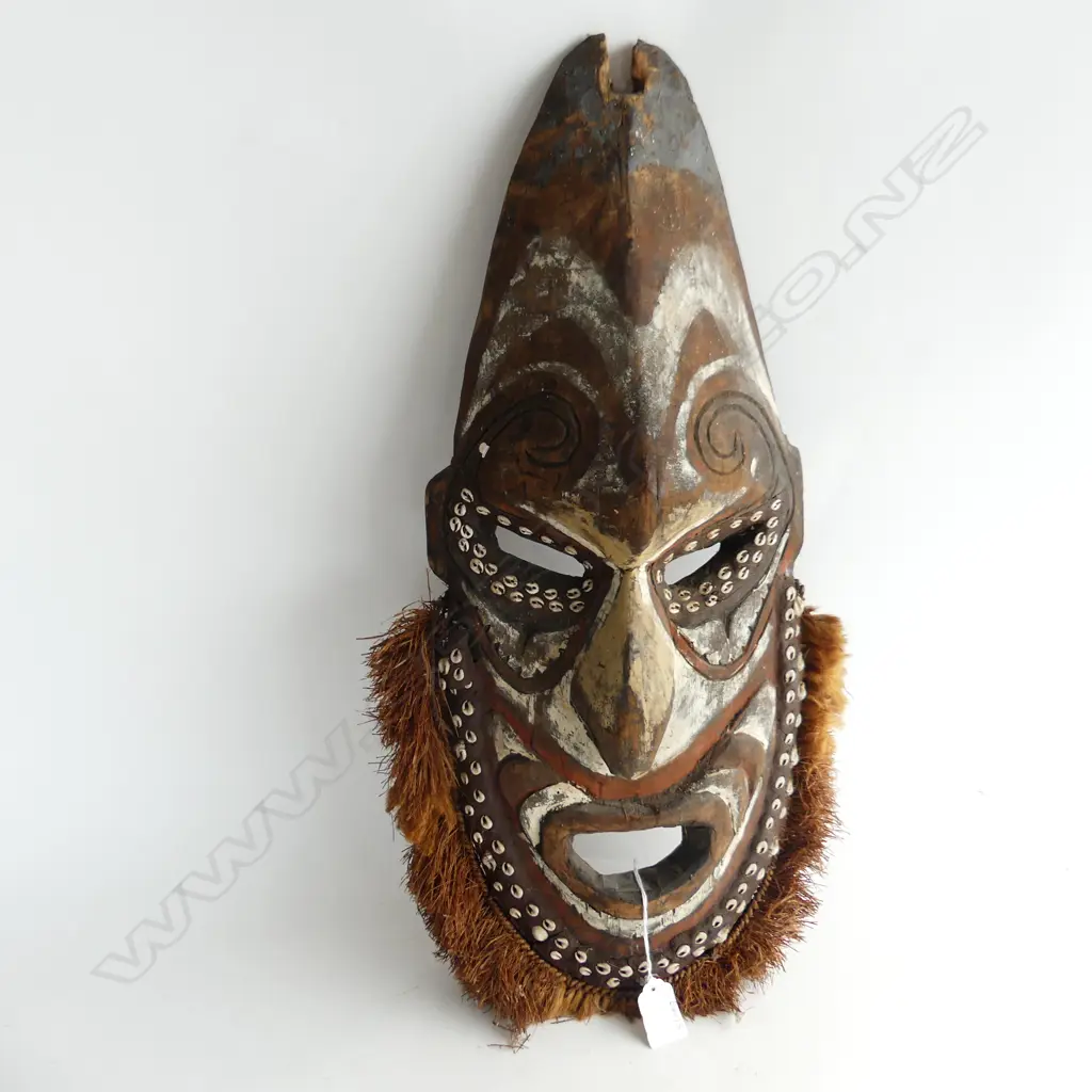 PNG FACE MASK L540MM Image 1++