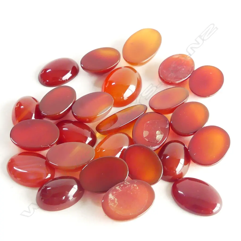 BAG MIXED SHAPED CARNELIAN Image 1++