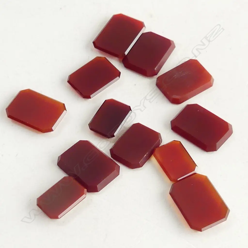 BAG FLAT DISC CARNELIAN Image 1++