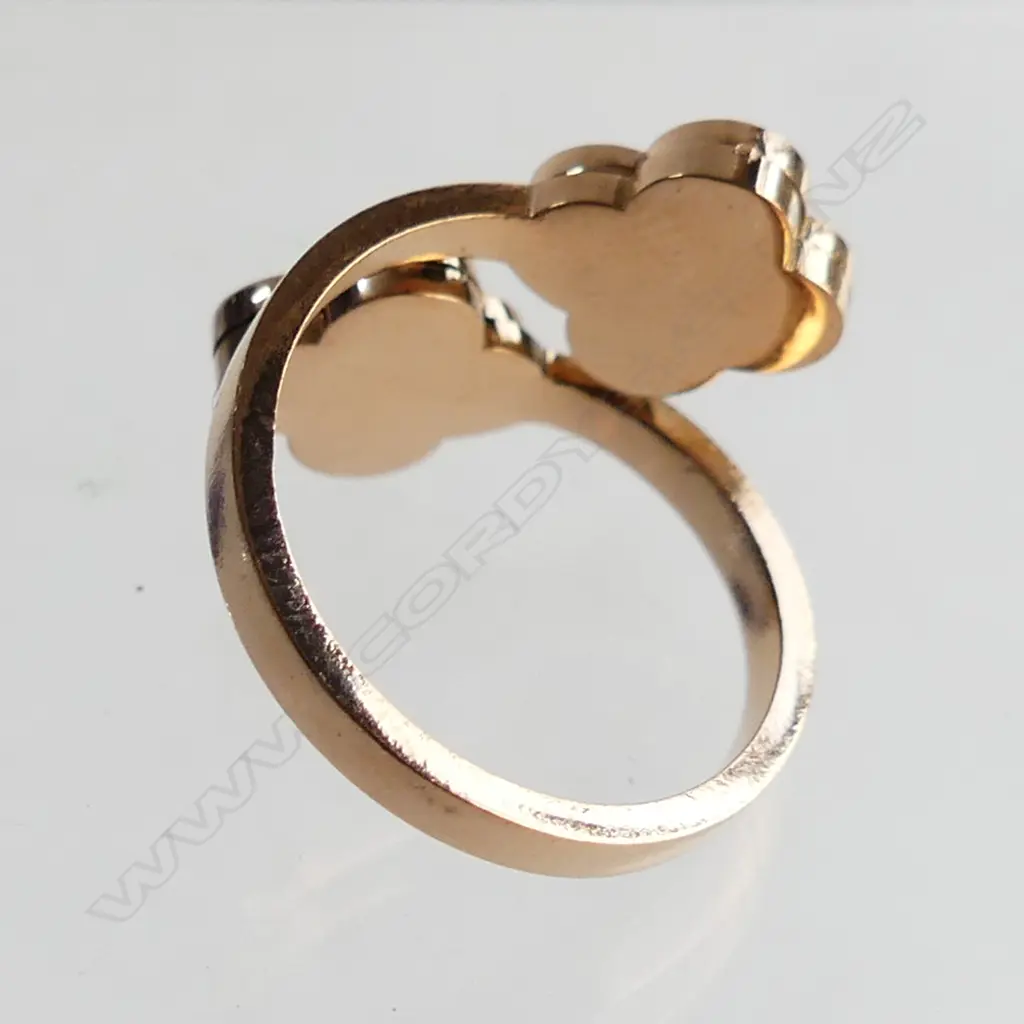 BLACK & WHITE TWIN CLOVER SPLIT RING - IN LEATHER CASE  Image 1++