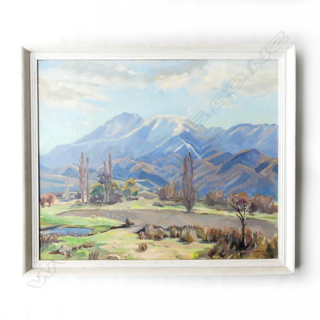 ANNE CHARMAN, MT PEEL, OIL ON BOARD 495x600mm Image 1++