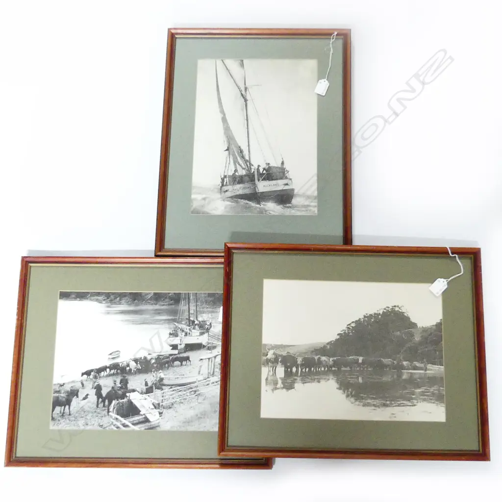 3 HISTORICAL FRAMED PHOTOGRAPHS, SUBJECT - THE JANE GIFFORD RIGGED SAILING SCOW Image 1++