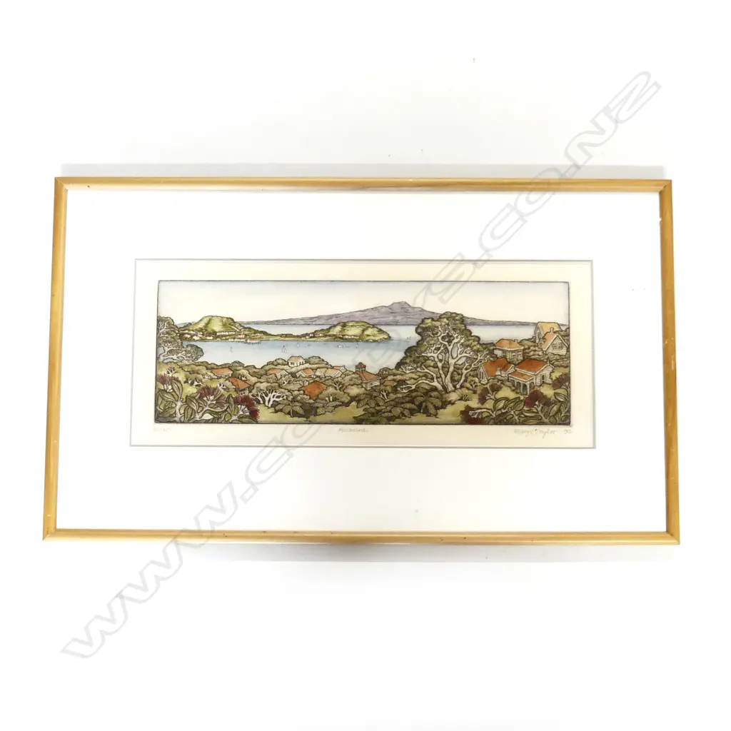 MARY E TAYLOR COLOURED ETECHING 'AUCKLAND' 65/150. 145x 410mm  Image 1++