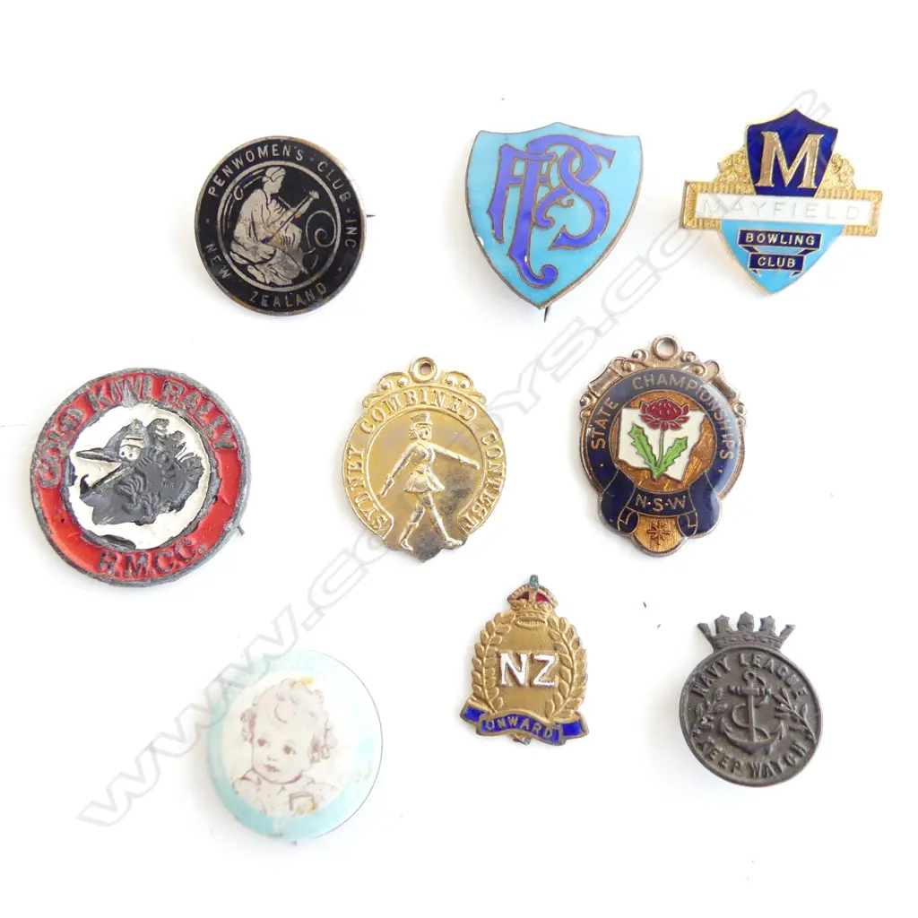 9 ASST ENAMEL ENAMEL BADGES ETC.. NZ PENWOMAN'S CLUB, GOLD KIWI RALLY RMCC NZ ONWARD ETC.. Image 1++