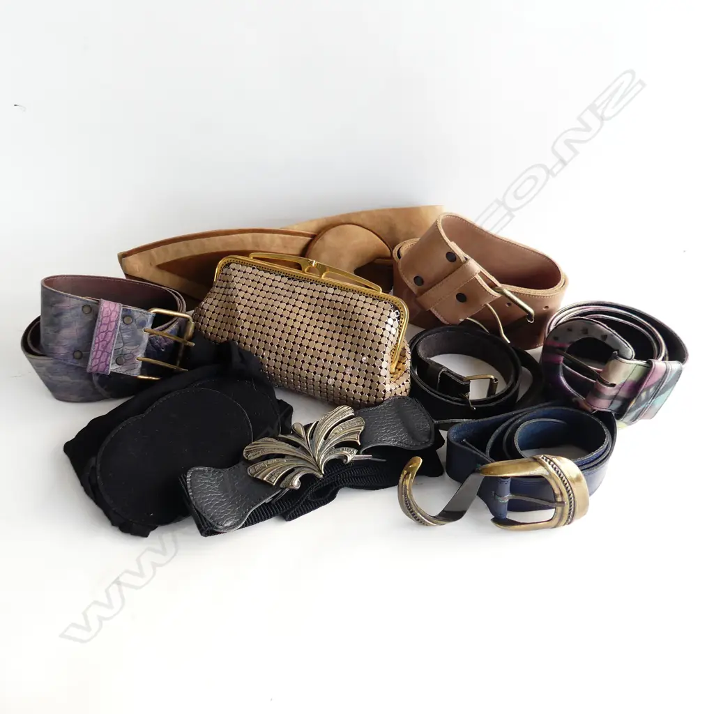 6 VINTAGE LADIES LEATHER & OTHER BELTS + OROTON? BAG  Image 1++
