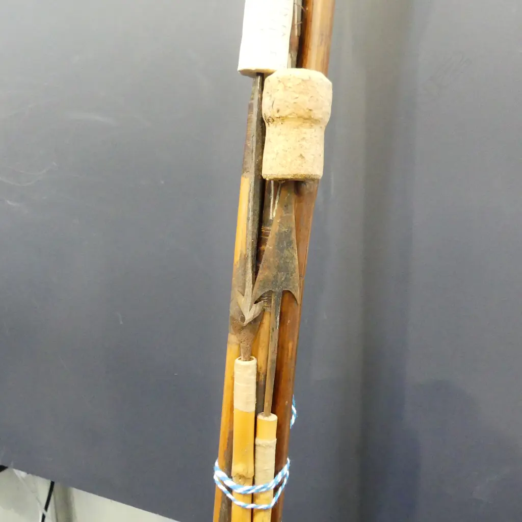 COLLECTION OF TRIBAL SPEARS; AMAZONIA, SANTA CRUZ ETC L.1500mm Image 1++