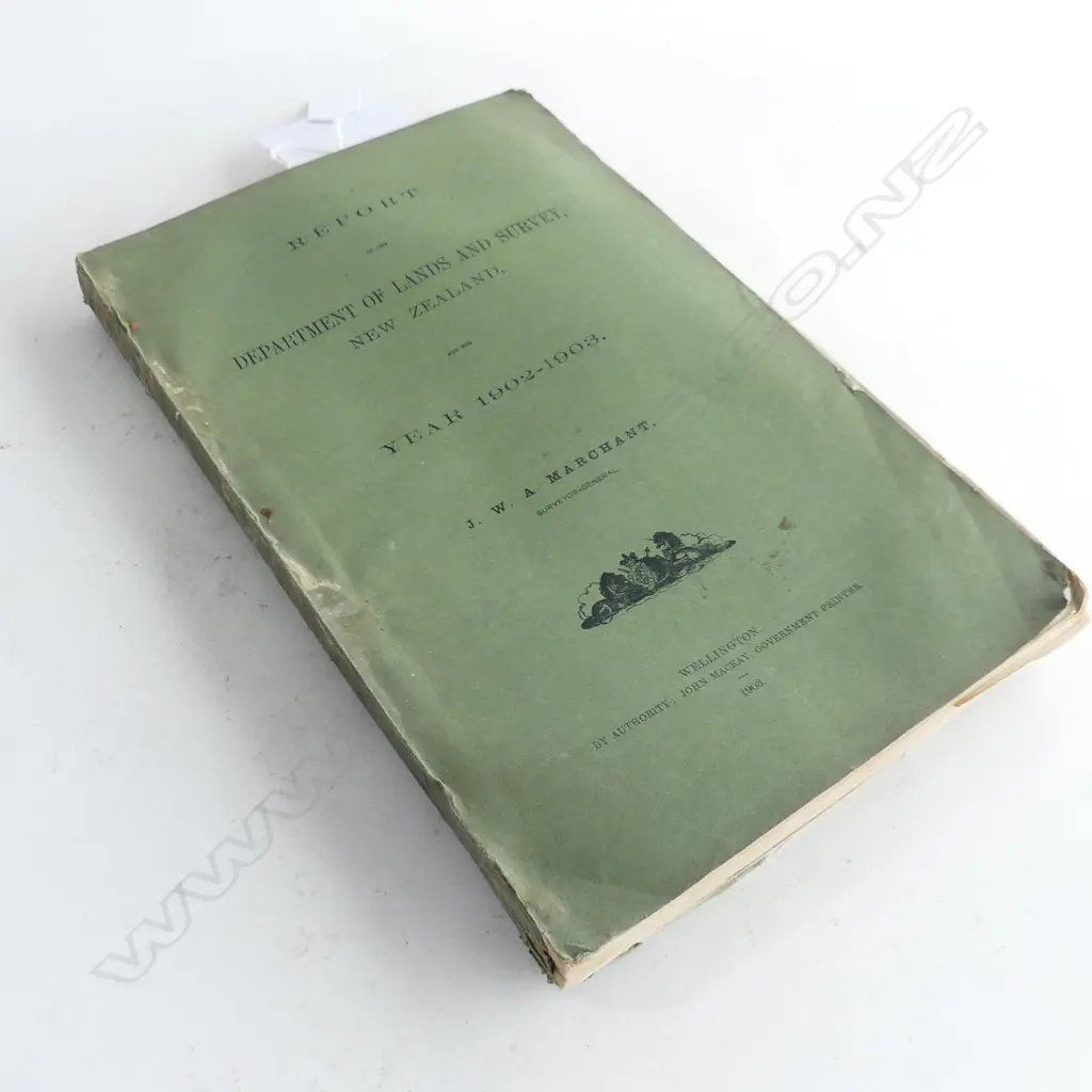 New Zealand for the Year 1902 - 1903. Well: Govt Ptr 1903. xli Image 1++