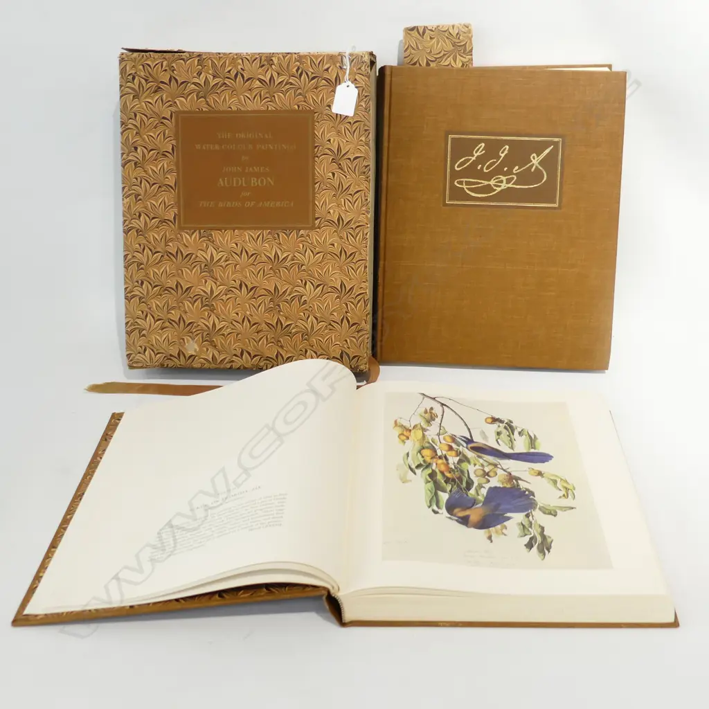 'THE BIRDS OF AMERICA' BY AUDUDON. 2 VOLUME BOOK SET REPRINTED 1966, SOME DAMAGE TO BOX Image 1++