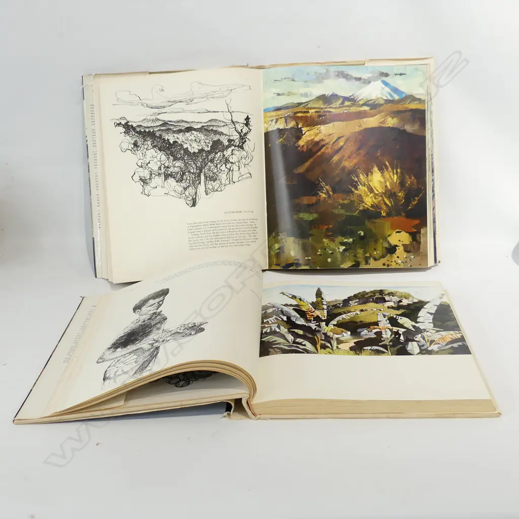 2 VOLUMES, PETER MCINTYRE'S 'PACIFIC' & 'NEW ZEALAND' Image 1++