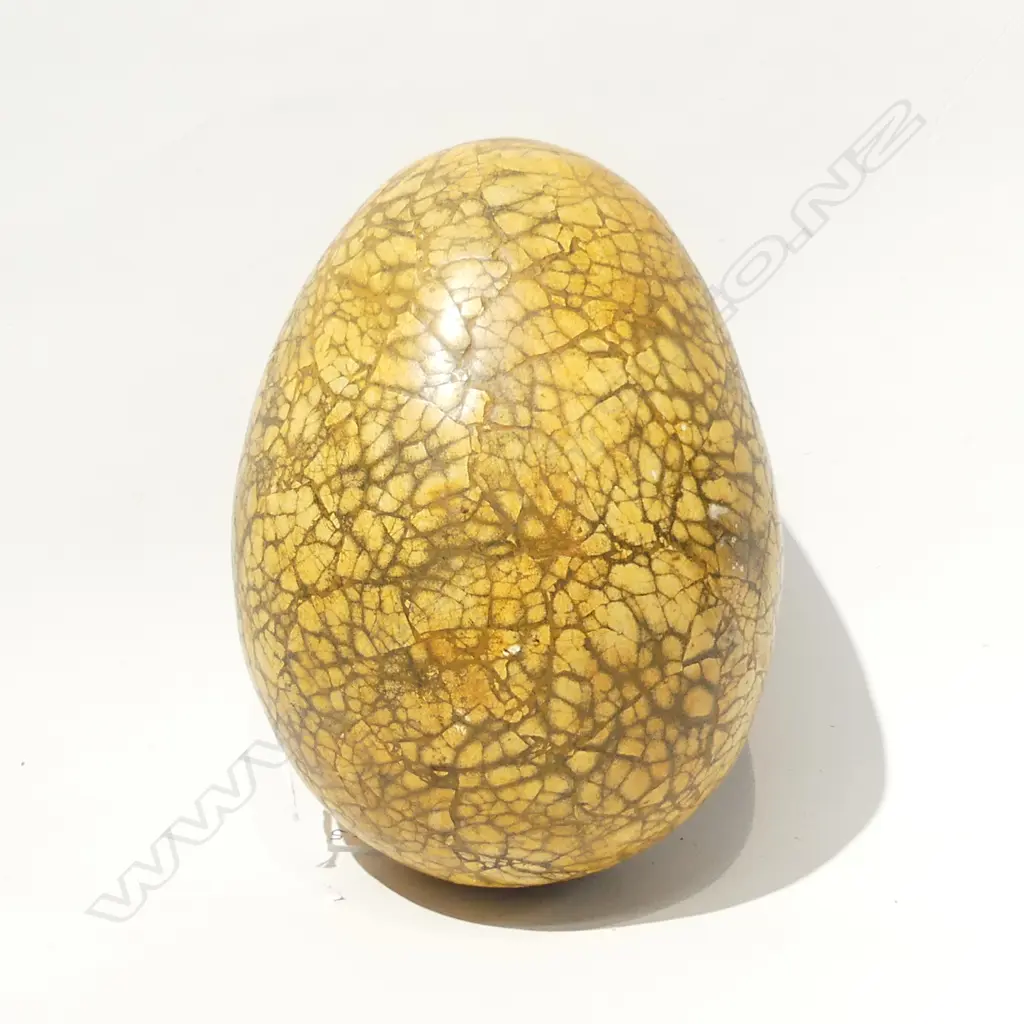 LG EMU (?) EGG 170 X 125MM Image 1++