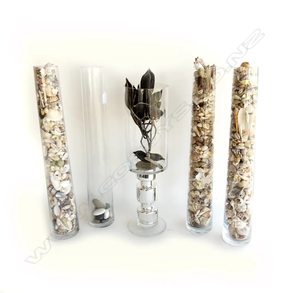 5 LG GLASS VASES; 4 FILLED w. SHELLS H.600mm + HURRICANE LAMP H.540mm Image 1++