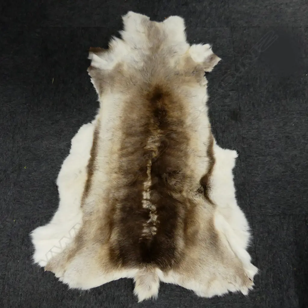 REINDEER HIDE  Image 1++