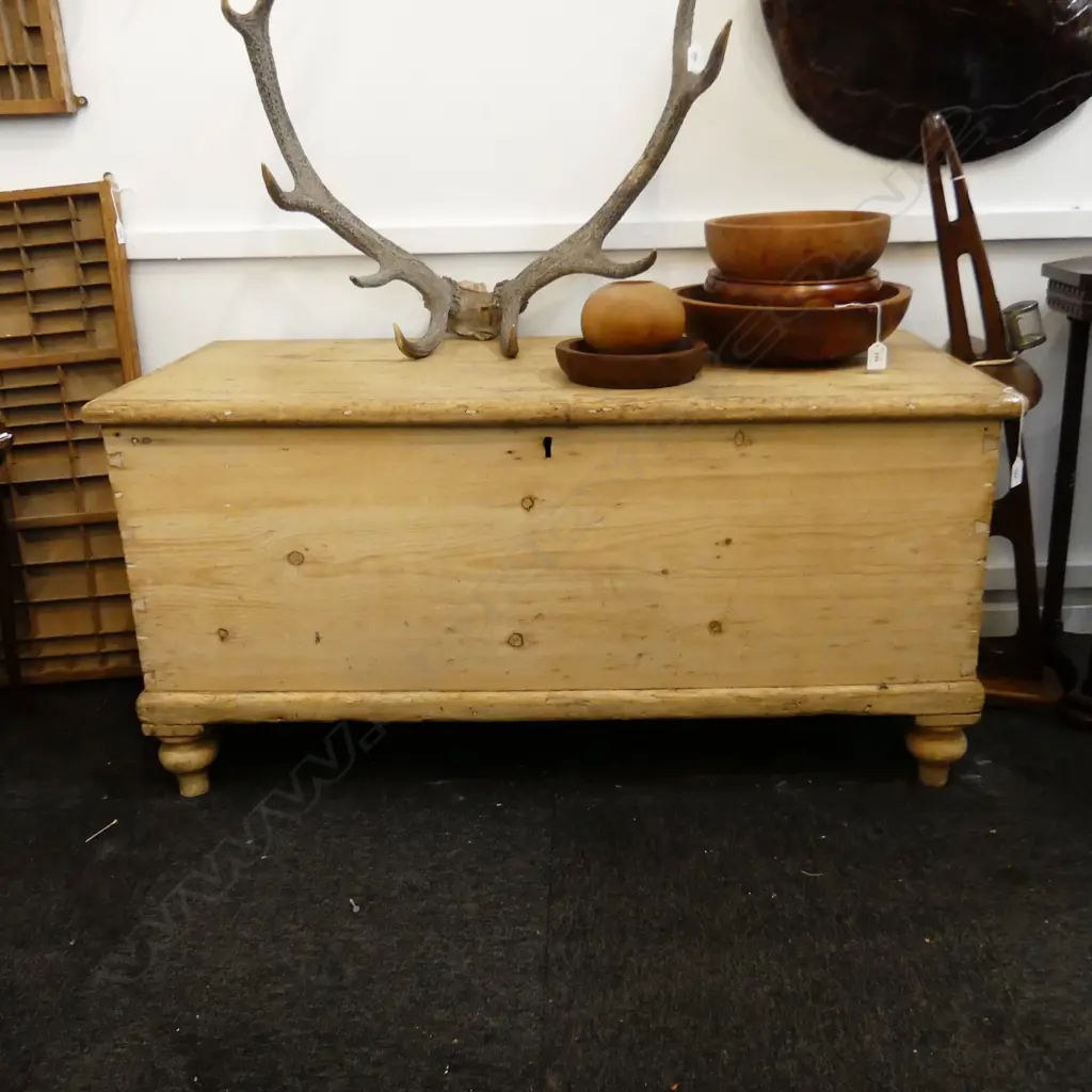 LG ANTIQUE STRIPPED PINE TRUNK 1175x540x575mm Image 1++